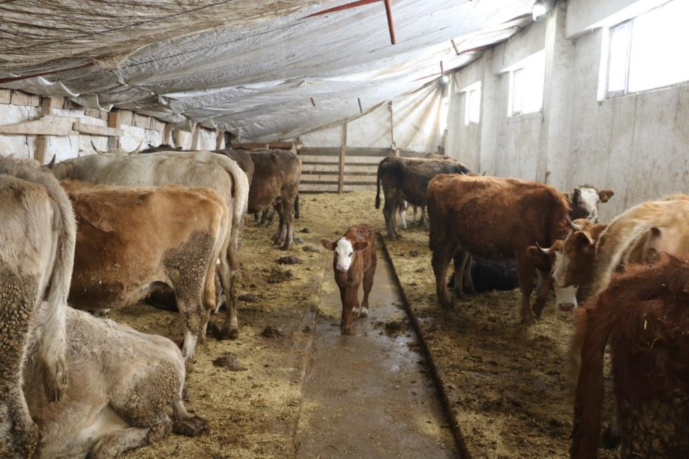 25 yıl sonra döndüğü memleketinde kendi işletmesini kurarak kadınlara örnek oldu