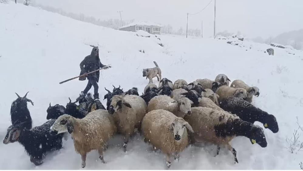 Muş'ta kar yağışı çiftçilerin hayatını olumsuz etkiledi