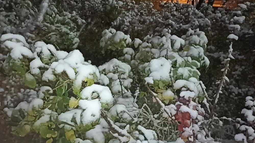 Van’da 158 yerleşim yerinin yolu ulaşıma kapandı