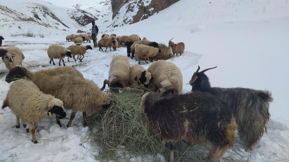 Van'da besicilerin kış mesaisi sürüyor