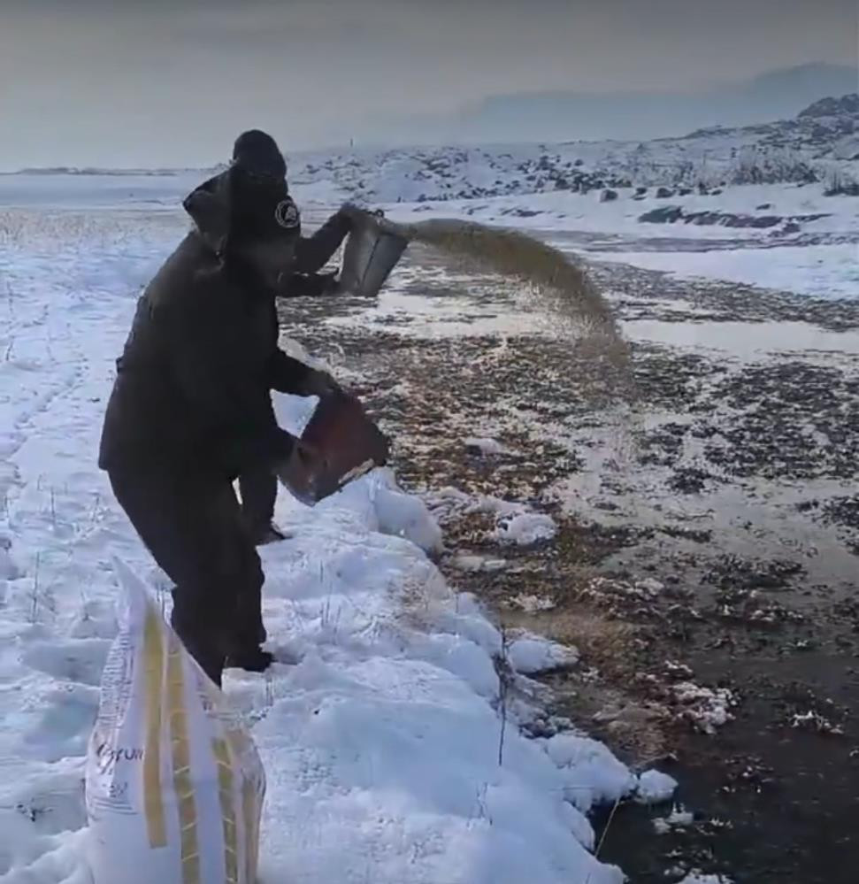 Van'da yaban hayvanları için doğaya yem bırakıldı